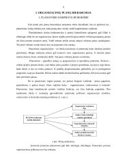 Organizacinių planų hierarchija 4 puslapis