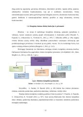 Klaipėdos miesto renginių rėmimo priemonių internetinėje erdvėje analizė 12 puslapis