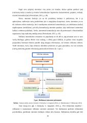 Klaipėdos miesto renginių rėmimo priemonių internetinėje erdvėje analizė 18 puslapis