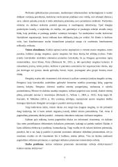 Klaipėdos miesto renginių rėmimo priemonių internetinėje erdvėje analizė 3 puslapis