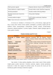 Klaipėdos miesto renginių rėmimo priemonių internetinėje erdvėje analizė 7 puslapis