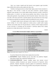 Klaipėdos miesto renginių rėmimo priemonių internetinėje erdvėje analizė 9 puslapis