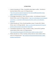 Dyzelinių variklių maitinimo sistemos analizė 11 puslapis