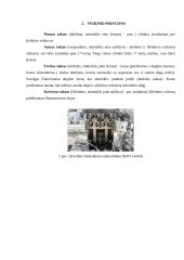 Dyzelinių variklių maitinimo sistemos analizė 6 puslapis