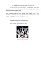 Dyzelinių variklių maitinimo sistemos analizė 7 puslapis