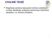 Civilinės teisės konspektai 2 puslapis