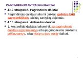 Civilinės teisės konspektai 15 puslapis