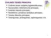 Civilinės teisės konspektai 8 puslapis