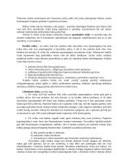 Transporto įmonių finansai 11 puslapis