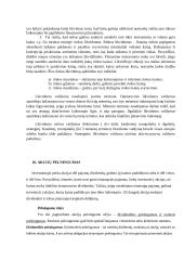 Transporto įmonių finansai 12 puslapis