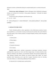 Transporto įmonių finansai 13 puslapis