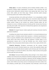 Transporto įmonių finansai 14 puslapis