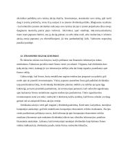 Transporto įmonių finansai 15 puslapis