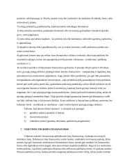 Transporto įmonių finansai 7 puslapis