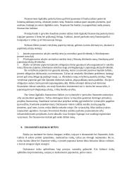 Transporto įmonių finansai 9 puslapis