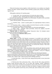 Transporto įmonių finansai 10 puslapis