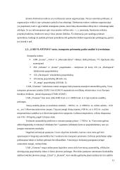 UAB „Vlantana“ verslo planas 10 puslapis