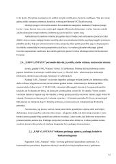 UAB „Vlantana“ verslo planas 11 puslapis