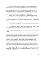 UAB „Vlantana“ verslo planas 13 puslapis