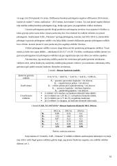 UAB „Vlantana“ verslo planas 15 puslapis