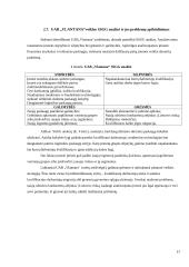 UAB „Vlantana“ verslo planas 16 puslapis