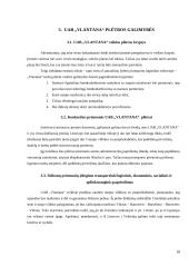 UAB „Vlantana“ verslo planas 17 puslapis