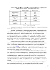 UAB „Vlantana“ verslo planas 18 puslapis