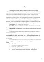 UAB „Vlantana“ verslo planas 2 puslapis