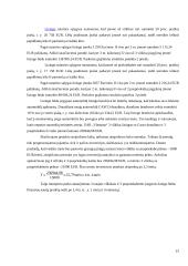 UAB „Vlantana“ verslo planas 20 puslapis