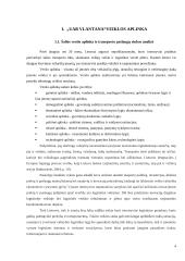 UAB „Vlantana“ verslo planas 3 puslapis