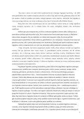 UAB „Vlantana“ verslo planas 4 puslapis