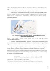 UAB „Vlantana“ verslo planas 8 puslapis