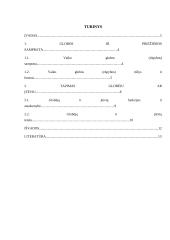 Vaiko priežiūra ir globa 2 puslapis