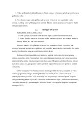 Vaiko priežiūra ir globa 11 puslapis