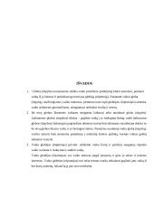 Vaiko priežiūra ir globa 12 puslapis