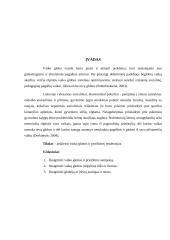 Vaiko priežiūra ir globa 3 puslapis