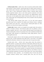 Vaiko priežiūra ir globa 6 puslapis