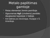 Gyvsidrabis 4 puslapis