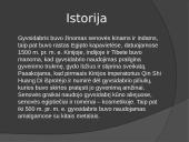 Gyvsidrabis 5 puslapis