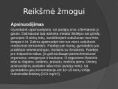 Gyvsidrabis 6 puslapis