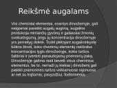 Gyvsidrabis 7 puslapis