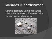 Gyvsidrabis 8 puslapis