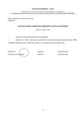 AB „VCB“ charakteristika ir veiklos dokumentai 13 puslapis