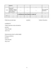 AB „VCB“ charakteristika ir veiklos dokumentai 19 puslapis