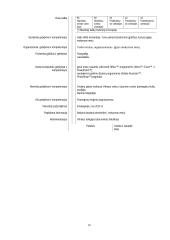 AB „VCB“ charakteristika ir veiklos dokumentai 10 puslapis