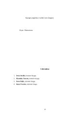 Transporto priemonių gamybos bei remonto pažangios technologijos 13 puslapis