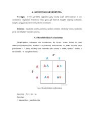 Požymių paveldėjimo dėsningumai, dauginantis lytiniu būdu 9 puslapis