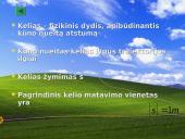 Mechaninio judėjimo sampranta 11 puslapis