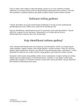 Dujų turbininis pripūtimas 7 puslapis