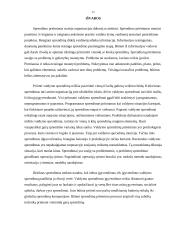 Vadybos pagrindų referatas 13 puslapis